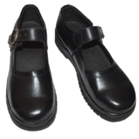 Pure Leather School Shoes